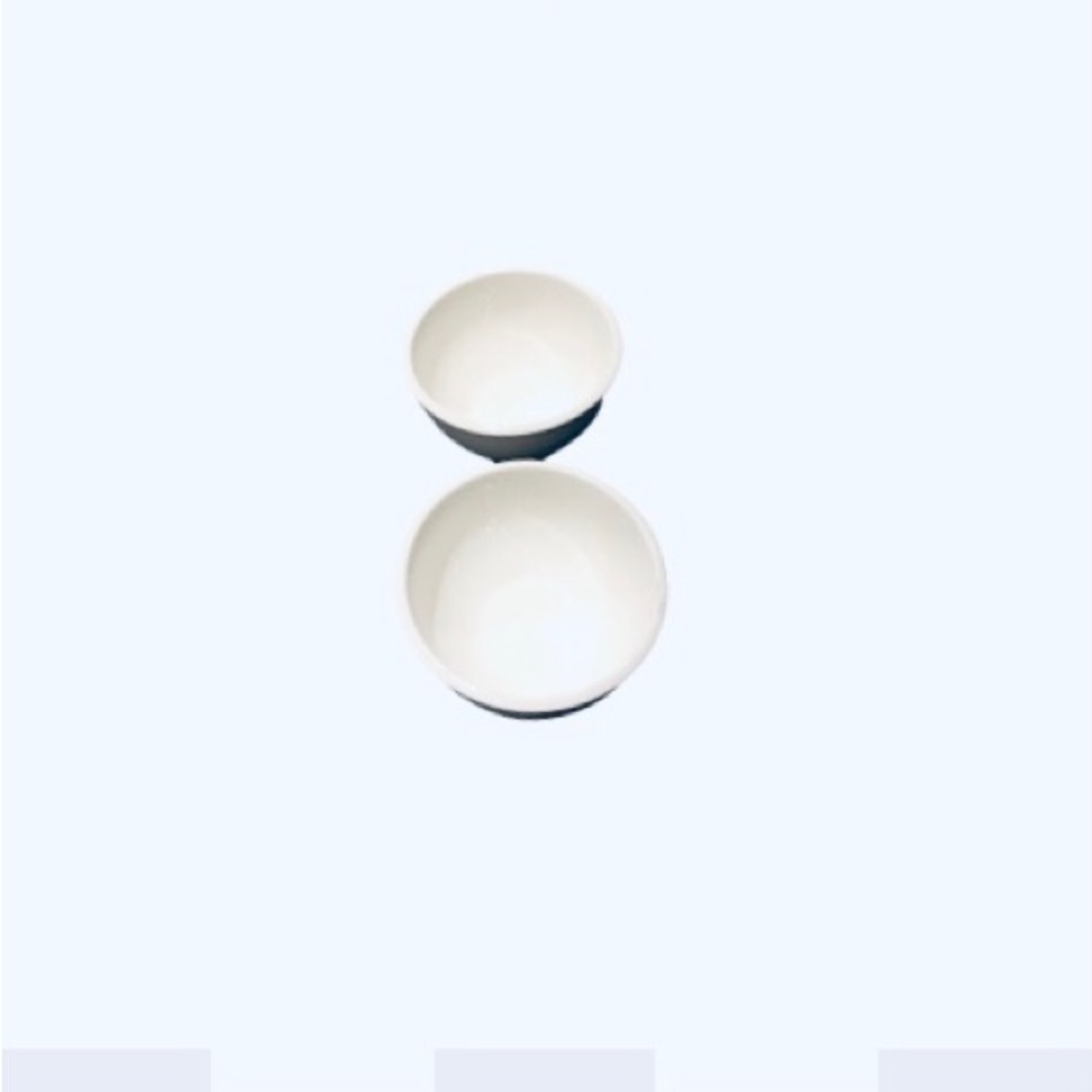 Bowrings White Bowls Porcelain Condiment Appetizer Set of 2